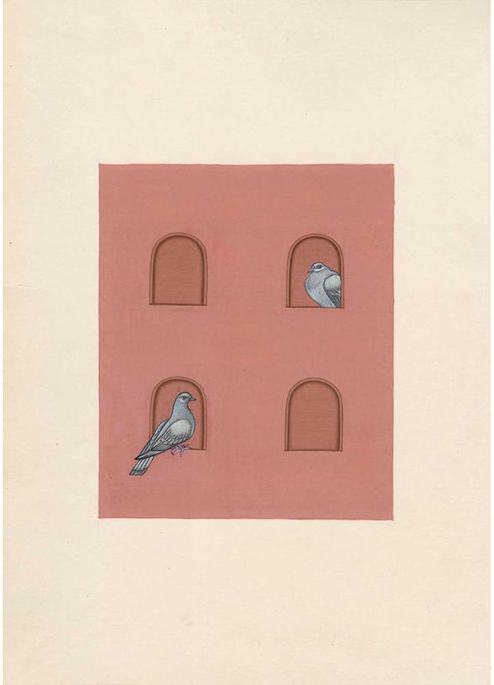 perches windows